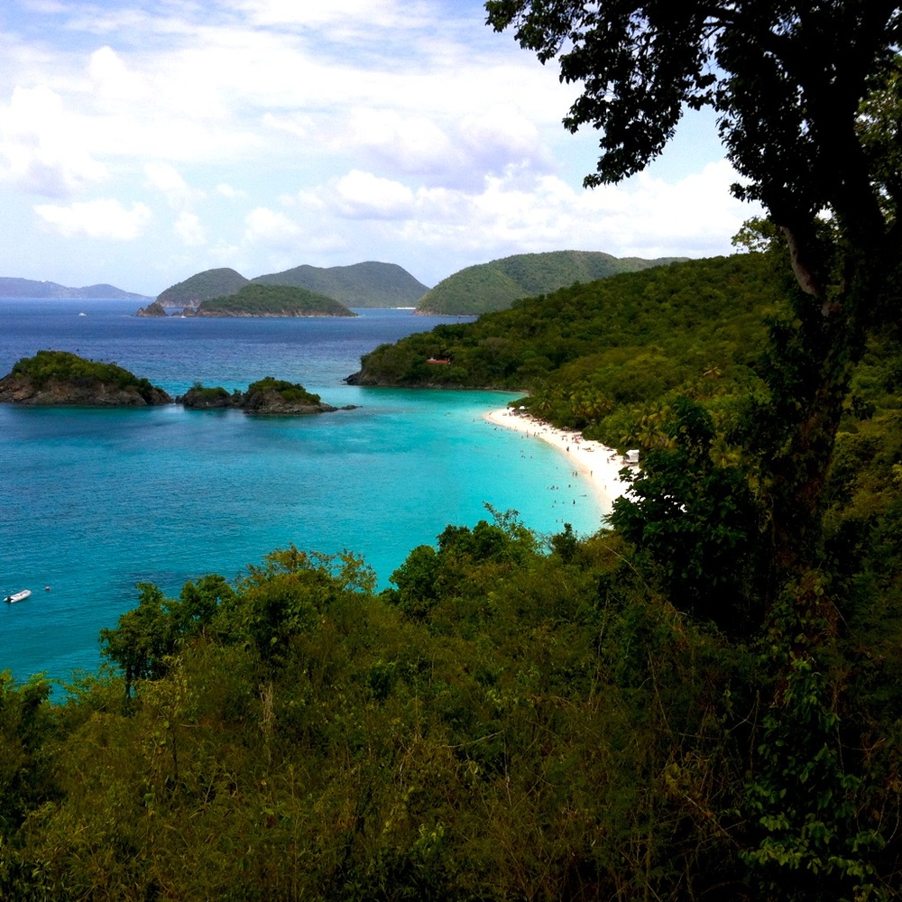 Meet your Posher, Katey